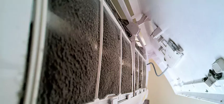 Preventive Air Duct Bacteria Removal in Berwyn