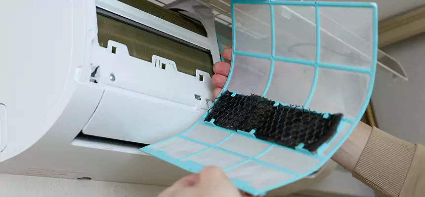 Gentle Ductwork Odor-Control Pet Dander Duct Cleaning in Berwyn, IL