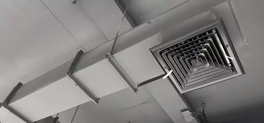 Our Rodent Droppings In Vents Services in Berwyn, IL