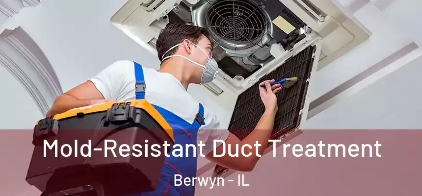  Mold-Resistant Duct Treatment Berwyn - IL