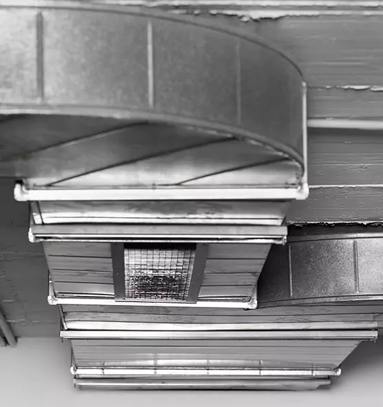 Professional Air Duct Pest Removal in Berwyn, IL