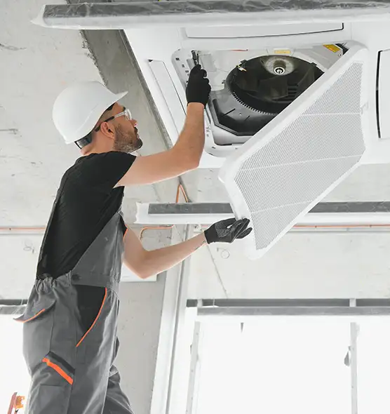 About Air Duct Rodent Removal in Berwyn, IL