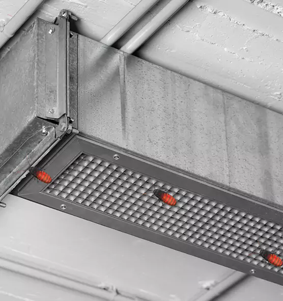 Affordable Insect Removal from Air Ducts in Berwyn, IL