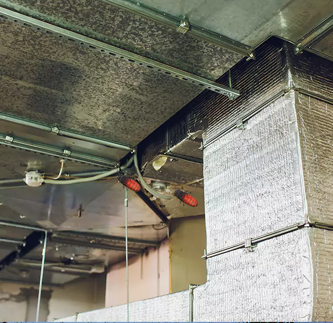 Why Homeowners & Businesses Trust Us in Berwyn, IL?