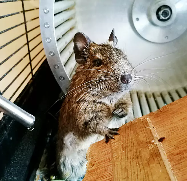 Why Homeowners & Businesses Trust Us Berwyn, IL?