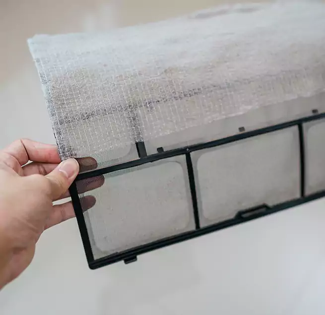 Why Homeowners & Businesses Trust Us in Berwyn, IL?